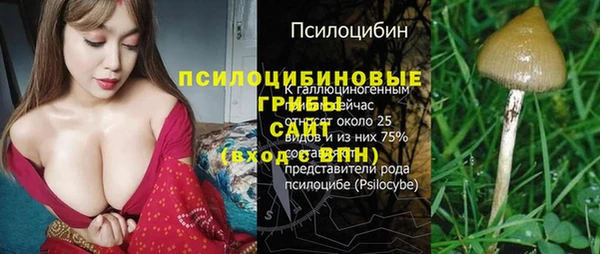 гидропоника Алзамай