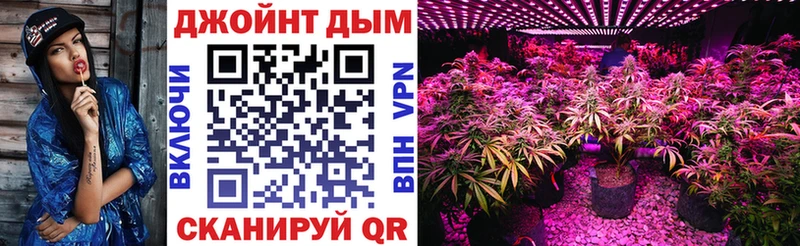 ссылка на мегу вход  Магадан  Бошки Шишки SATIVA & INDICA 